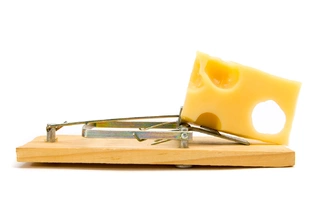 Как определить компанию-“ловушку” по оформлению документов? - советы www.avisa.com.ua, фото