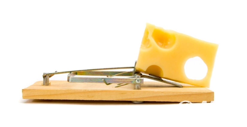 Как определить компанию-“ловушку” по оформлению документов? оформлення віз, фото на avisa.com.ua